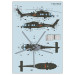 Z-20 Harbin Aircraft Industry Group (HAIG), Shengdiao - 1/72 DREAM MODEL DM720028