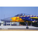 F-15J McDonnell Douglas, Mitsubishi, Eagle - 1/72 PLATZ AC-100 F-15J McDonnell Douglas, Mitsubishi, Eagle - 1/72 PLATZ AC-100