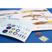 P-40D Warhawk / Kittyhawk Mk. I, Curtiss - 1/72 SPECIAL HOBBY SH72367