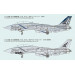 F-14B Grumman, Tomcat - 1/72 FINE MOLDS FF01