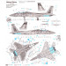 F-15C McDonnell Douglas, Eagle - 1/72 HASEGAWA 00543 E13 F-15C McDonnell Douglas, Eagle - 1/72 HASEGAWA 00543 E13