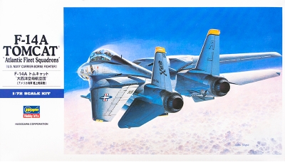 F-14A Grumman, Tomcat - HASEGAWA 00544 E14 1/72