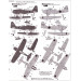 F1M2 Model 11 Mitsubishi, Pete - 1/48 HASEGAWA 07383. Limited Edition