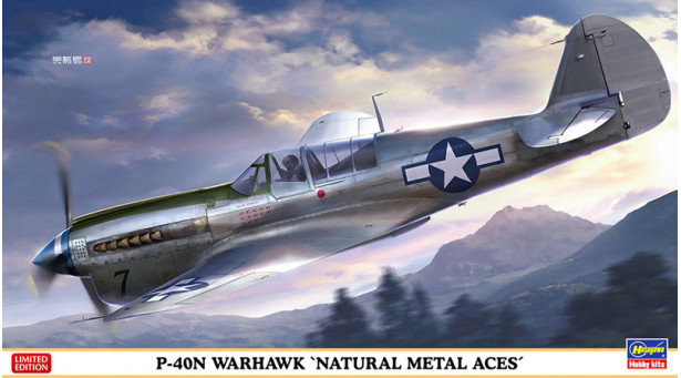 P-40N Curtiss, Warhawk - 1/48 HASEGAWA 07516. Limited Edition P-40N Curtiss, Warhawk - 1/48 HASEGAWA 07516. Limited Edition