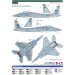 F-15C McDonnell Douglas, Eagle - 1/72 PLATZ AC-63 F-15C McDonnell Douglas, Eagle - 1/72 PLATZ AC-63