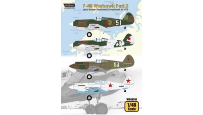 P-40C Curtiss, Warhawk, Tomahawk IIB - WOLFPACK DESIGN WD48016 1/48