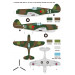 P-40C Curtiss, Warhawk, Tomahawk IIB - 1/48 WOLFPACK DESIGN WD48016