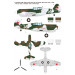 P-40C Curtiss, Warhawk, Tomahawk IIB - 1/48 WOLFPACK DESIGN WD48016