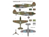 P-40C Curtiss, Warhawk, Tomahawk IIB - WOLFPACK DESIGN WD48016 1/48