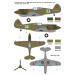 P-40C Curtiss, Warhawk, Tomahawk IIB - 1/48 WOLFPACK DESIGN WD48016